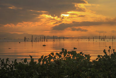 Scenic view of sea against orange sky