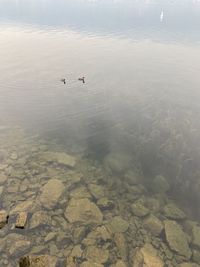 nature