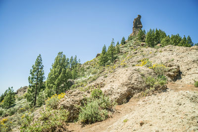 Plants growing on mountain against clear blue sky