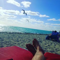 Low section of man feeding at beach against sky