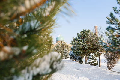 Tashkent, uzbekistan. december 2020. old town in winter