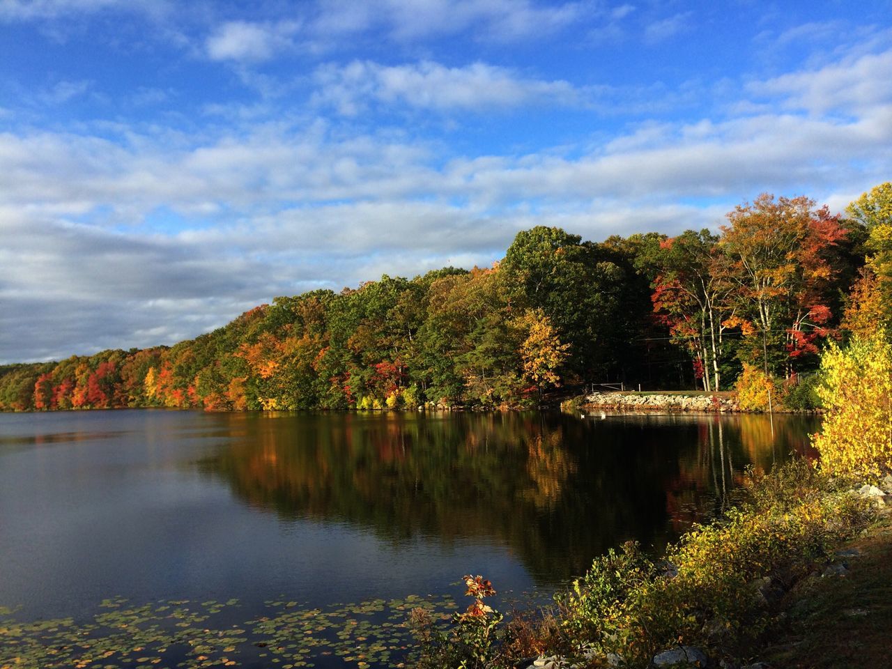 tree, tranquil scene, tranquility, water, beauty in nature, reflection, autumn, scenics, sky, lake, change, nature, growth, idyllic, cloud - sky, season, non-urban scene, cloud, outdoors, calm