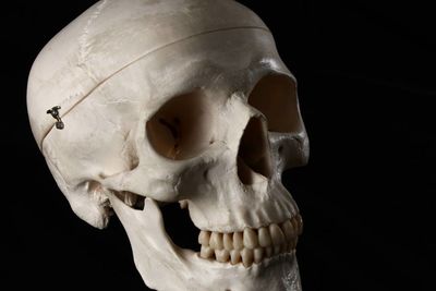 Close-up of human skull against black background