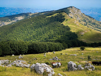 When the national park of abruzzo looks like the middle earth of the lord of the rings