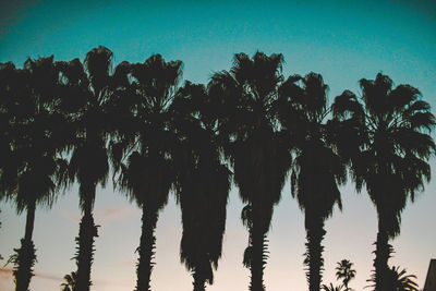 Low angle view of silhouette palm trees against clear sky