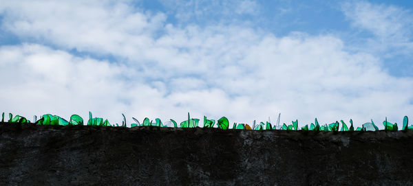 Shards of bottle glass on the fence