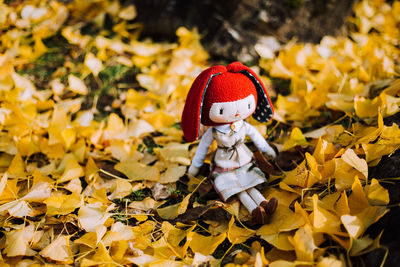 Close-up of stuffed toy on leaves