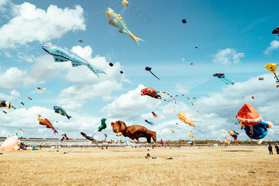 Low angle view of kites flying over field against sky