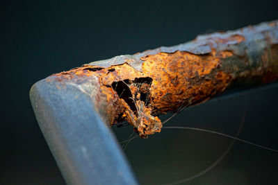 Close-up of rusty metal