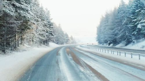 Road amidst trees during winter