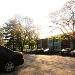 Cars parked on road