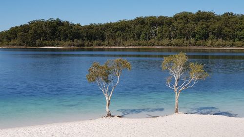 Scenic view of lake against clear blue sky