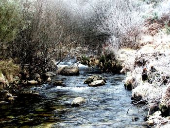 River flowing through rocks