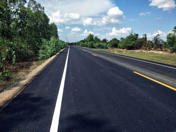 Empty road along trees and plants