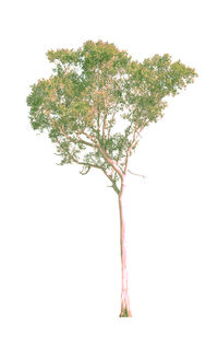 Close-up of communications tower against white background