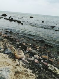 Scenic view of beach