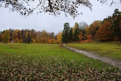 Scenic view of park during autumn