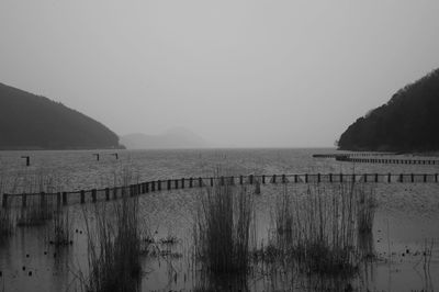 Scenic view of sea against clear sky