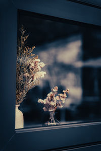 Close-up of flowering plant in glass window