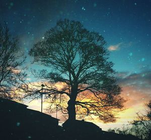 Low angle view of silhouette tree against sky at night