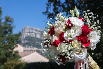 Close-up of rose bouquet against sky