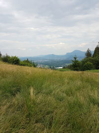 Scenic view of field against sky