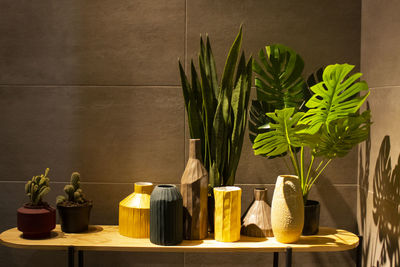 Potted plants on shelf against wall