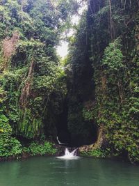 Scenic view of waterfall