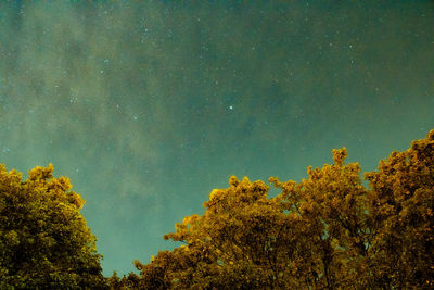 The night reflection of a lake full of seaweed