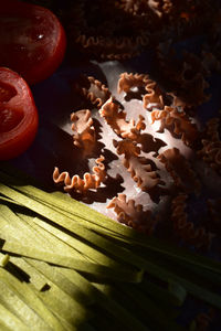 High angle view of vegetables on table