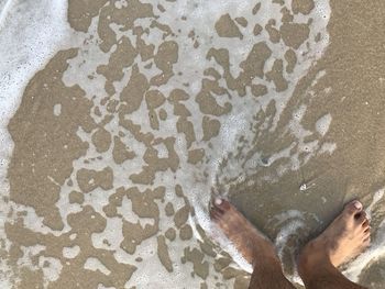 Low section of man standing on sandy beach