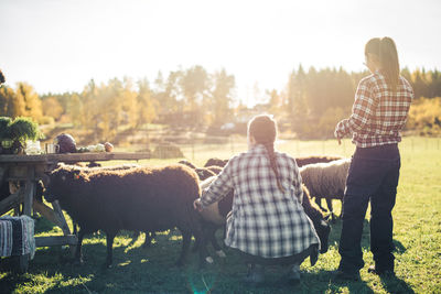 Multi-ethnic female farmers with flock of sheep on field