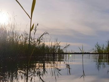 Scenic view of lake against sky during sunset