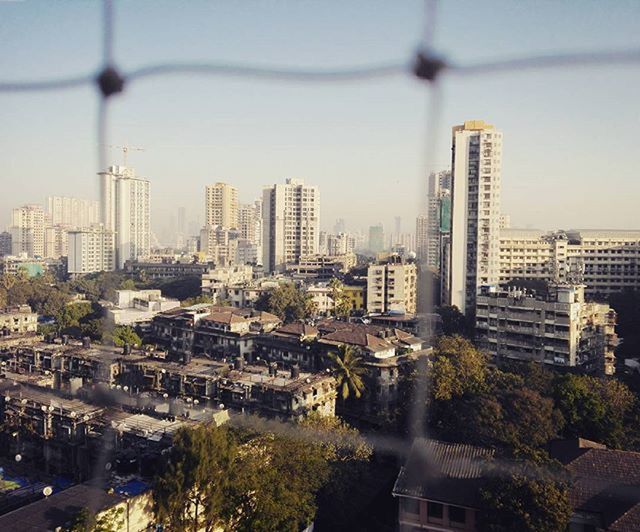 building exterior, architecture, city, built structure, cityscape, skyscraper, tall - high, office building, modern, tower, high angle view, city life, tree, crowded, residential building, building, urban skyline, residential district, sky, growth