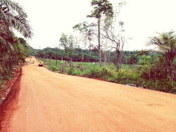 Dirt road amidst trees against clear sky