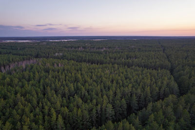landscape