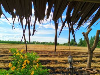 Scenic view of field against sky