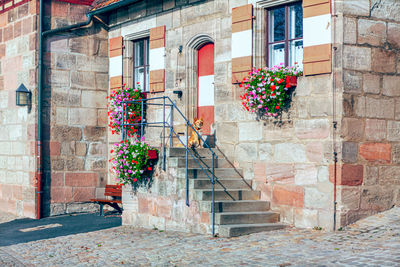 Potted plant on wall of building