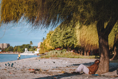 A man sleeping under a tree during sunset