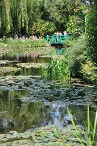 Scenic view of lake by trees