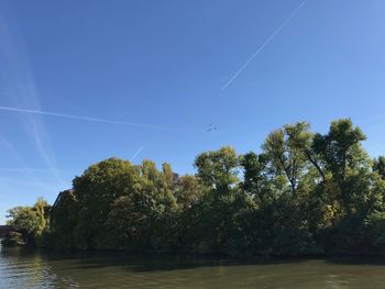 Trees by lake against clear blue sky