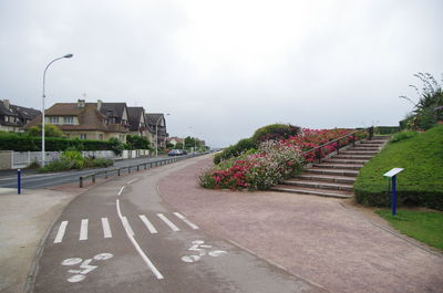 Empty road along plants in city against sky