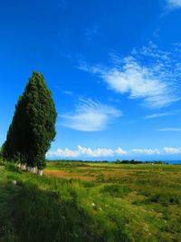 Scenic view of grassy field against cloudy sky
