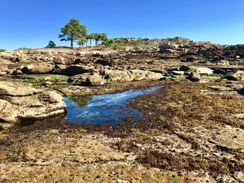 Scenic view of landscape against clear blue sky