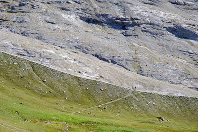 Scenic view of landscape