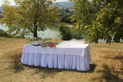 Lounge chairs and table on field