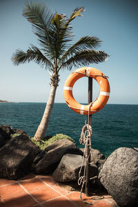 Palm tree on rock by sea against sky