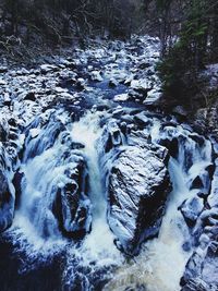 Scenic view of frozen river in forest during winter