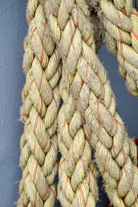 Close-up of rope tied to harbor