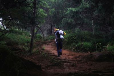 Rear view of man walking in forest